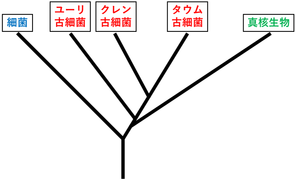 3ドメイン説の系統樹