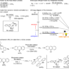 Catalytic nitrogen fixation using visible light energy | Nature Communications